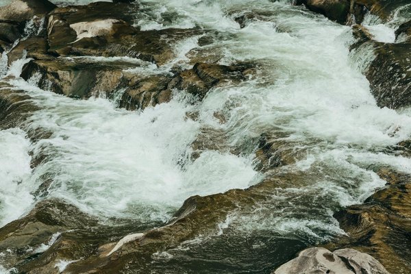 Les Incontournables Escapades en Croisière à Petit Prix à Découvrir Absolument