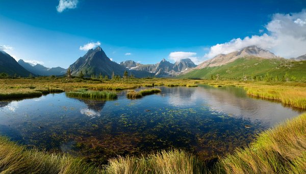 Séjours Golfiques : Locations de Gîtes pour des Vacances Inoubliables