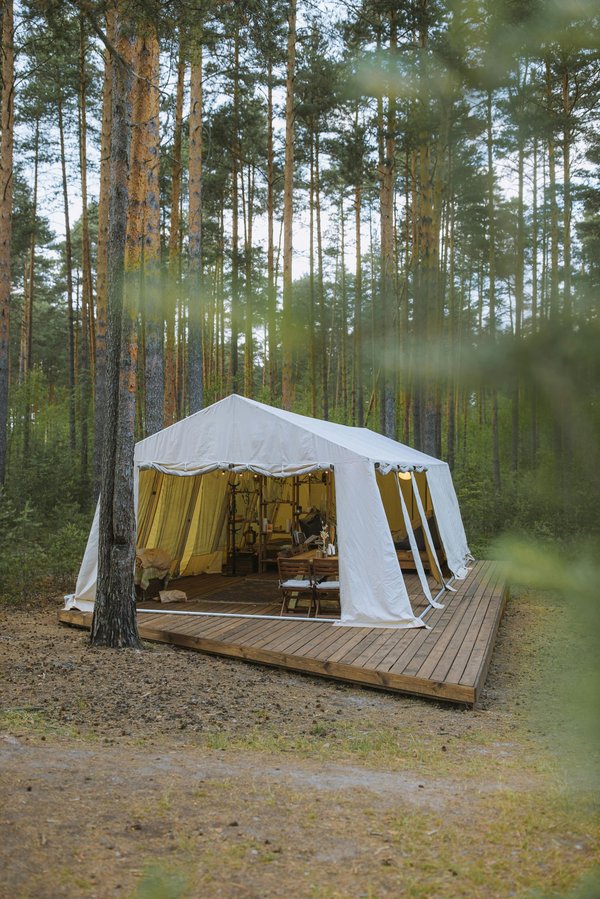 Évadez-vous en Auvergne : le glamping réinventé au Cosycamp